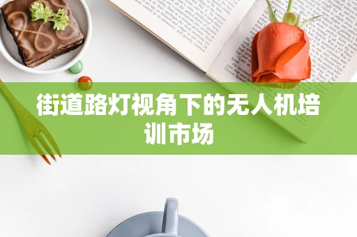 街道路灯视角下的无人机培训市场