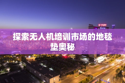 探索无人机培训市场的地毯垫奥秘