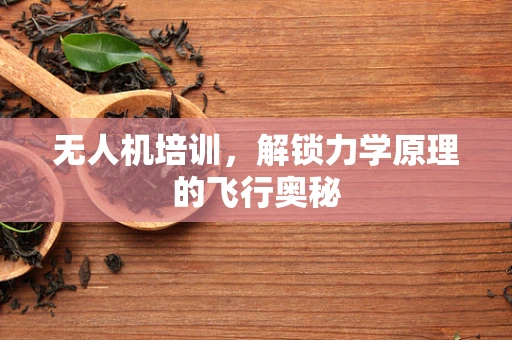 无人机培训，解锁力学原理的飞行奥秘
