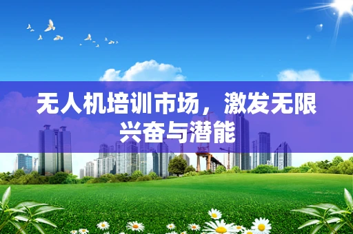 无人机培训市场，激发无限兴奋与潜能
