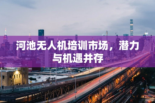 河池无人机培训市场，潜力与机遇并存