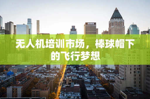 无人机培训市场，棒球帽下的飞行梦想