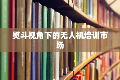 熨斗视角下的无人机培训市场