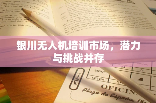银川无人机培训市场，潜力与挑战并存