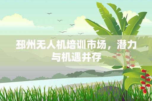 邳州无人机培训市场，潜力与机遇并存