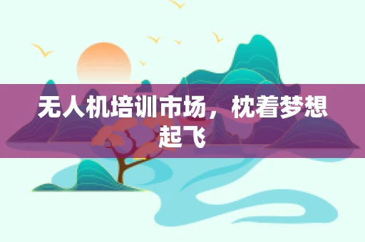 无人机培训市场，枕着梦想起飞