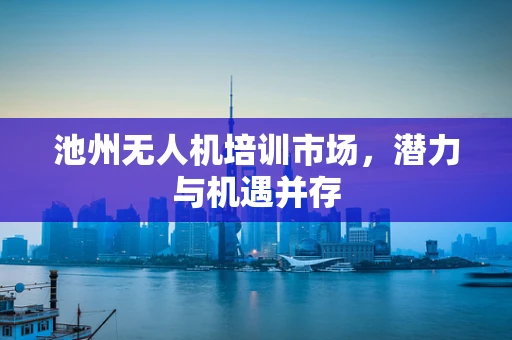 池州无人机培训市场，潜力与机遇并存