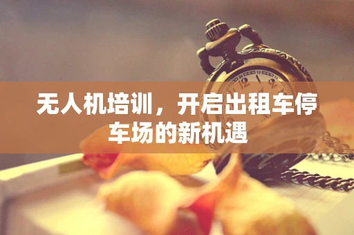 无人机培训，开启出租车停车场的新机遇