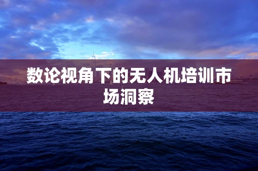 数论视角下的无人机培训市场洞察