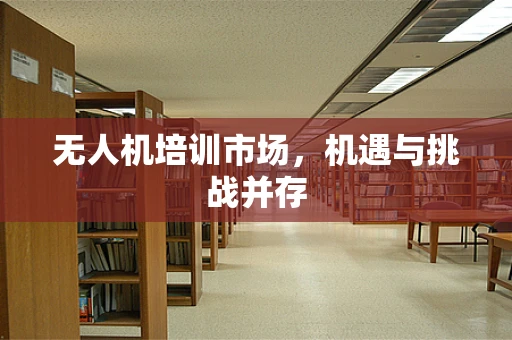 无人机培训市场，机遇与挑战并存