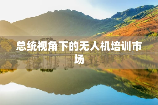 总统视角下的无人机培训市场