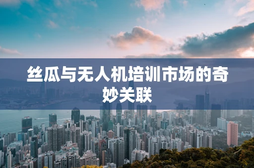 丝瓜与无人机培训市场的奇妙关联