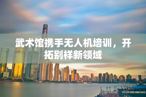 武术馆携手无人机培训，开拓别样新领域