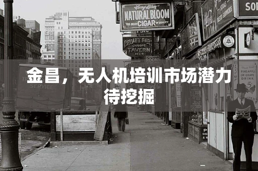 金昌，无人机培训市场潜力待挖掘