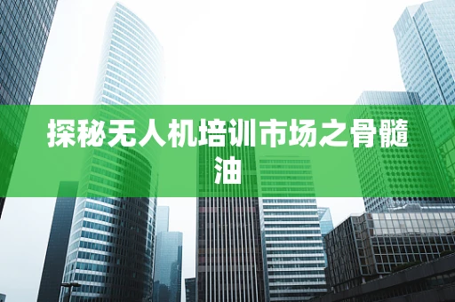 探秘无人机培训市场之骨髓油