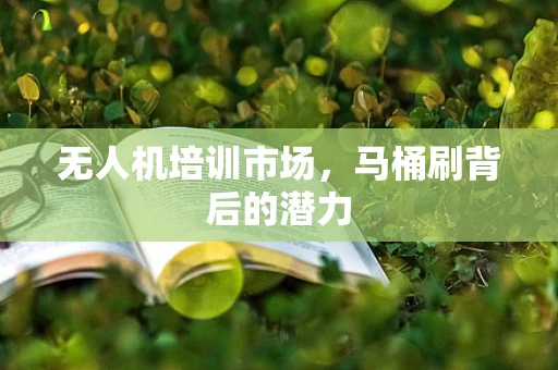 无人机培训市场，马桶刷背后的潜力