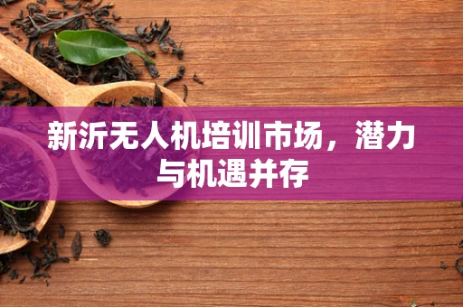 新沂无人机培训市场，潜力与机遇并存