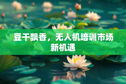 豆干飘香，无人机培训市场新机遇