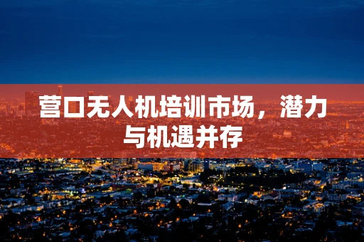 营口无人机培训市场，潜力与机遇并存