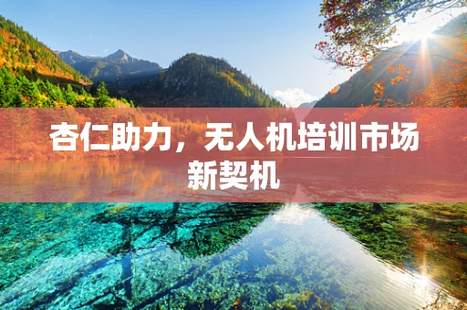 杏仁助力，无人机培训市场新契机