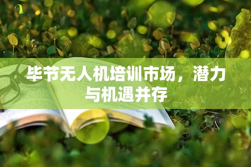 毕节无人机培训市场，潜力与机遇并存