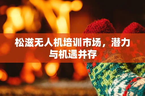 松滋无人机培训市场，潜力与机遇并存