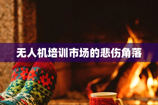 无人机培训市场的悲伤角落
