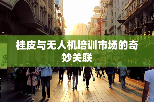 桂皮与无人机培训市场的奇妙关联