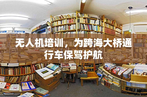 无人机培训，为跨海大桥通行车保驾护航