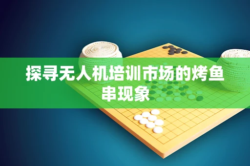 探寻无人机培训市场的烤鱼串现象