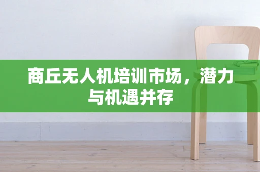 商丘无人机培训市场，潜力与机遇并存