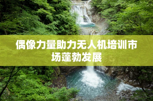 偶像力量助力无人机培训市场蓬勃发展
