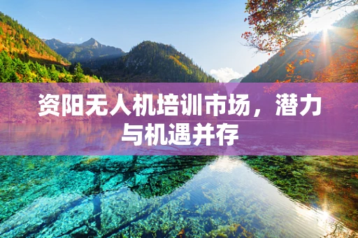 资阳无人机培训市场，潜力与机遇并存