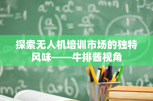 探索无人机培训市场的独特风味——牛排酱视角