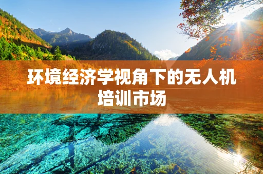 环境经济学视角下的无人机培训市场