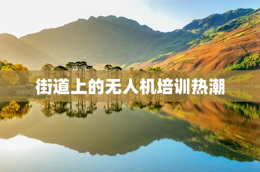 街道上的无人机培训热潮