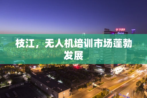 枝江，无人机培训市场蓬勃发展