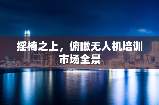 摇椅之上，俯瞰无人机培训市场全景