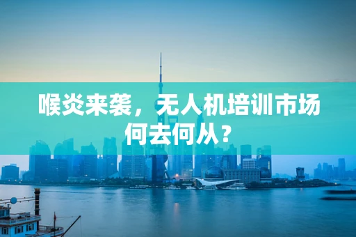 喉炎来袭，无人机培训市场何去何从？