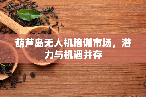 葫芦岛无人机培训市场，潜力与机遇并存