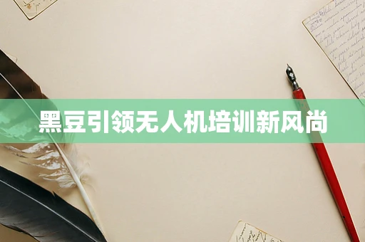 黑豆引领无人机培训新风尚