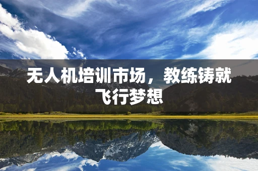 无人机培训市场，教练铸就飞行梦想