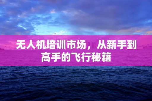 无人机培训市场，从新手到高手的飞行秘籍