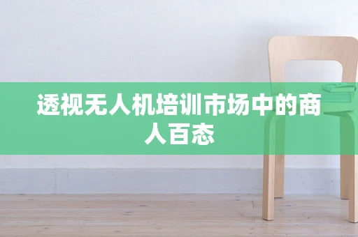 透视无人机培训市场中的商人百态