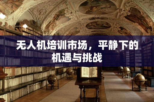 无人机培训市场，平静下的机遇与挑战