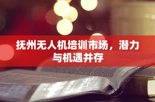 抚州无人机培训市场，潜力与机遇并存
