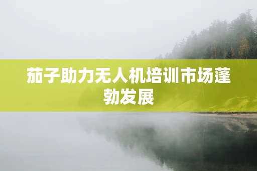 茄子助力无人机培训市场蓬勃发展