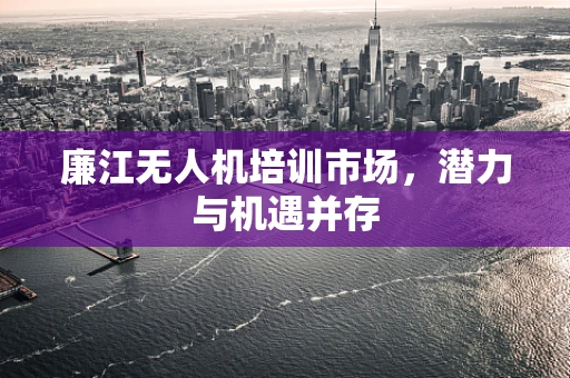 廉江无人机培训市场，潜力与机遇并存