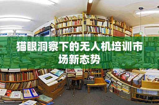 猫眼洞察下的无人机培训市场新态势