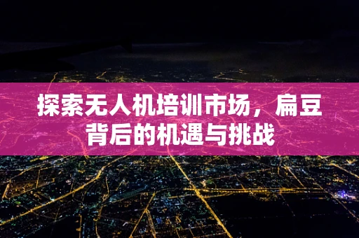 探索无人机培训市场，扁豆背后的机遇与挑战